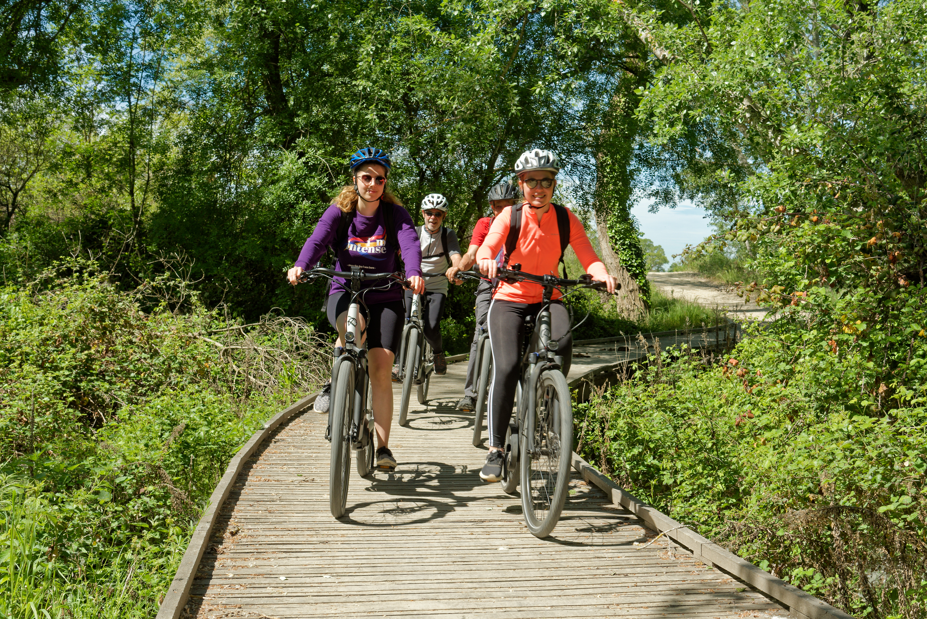 Comment choisir son vélo électrique ?