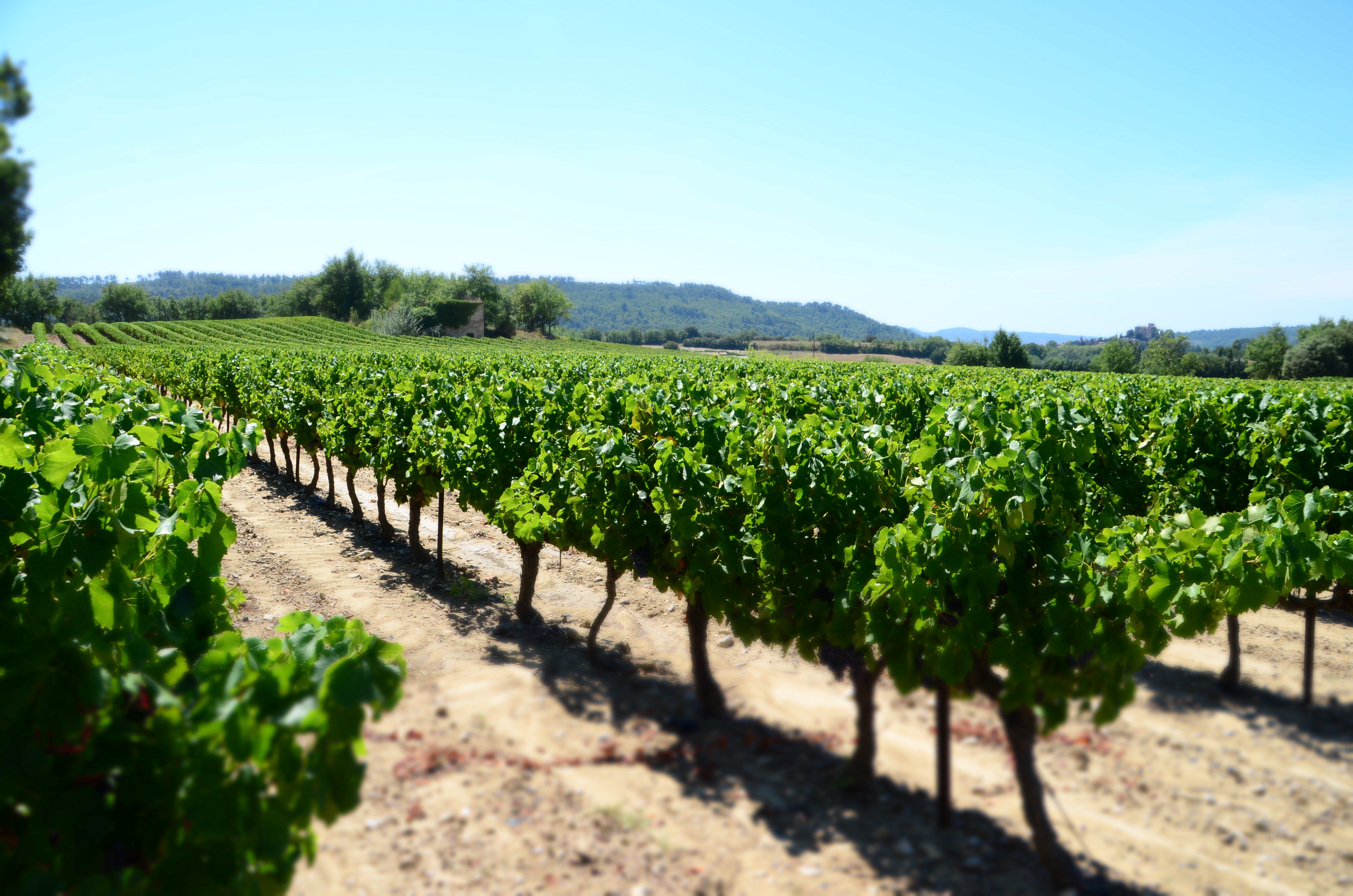 L'office de tourisme Luberon Sud Tourisme ! 