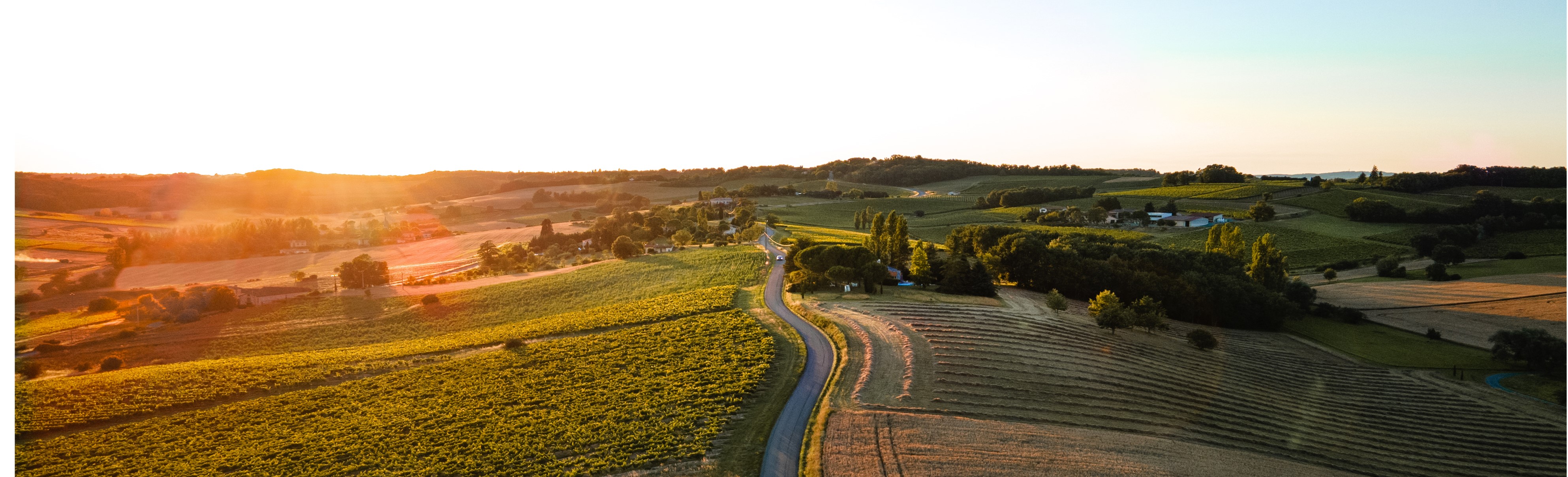 Balade à Puycelsi en passant par Castelnau de Montmiral 