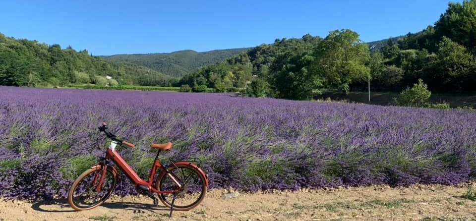 Balade du petit Luberon aux Monts de Vaucluse en vélo électrique 