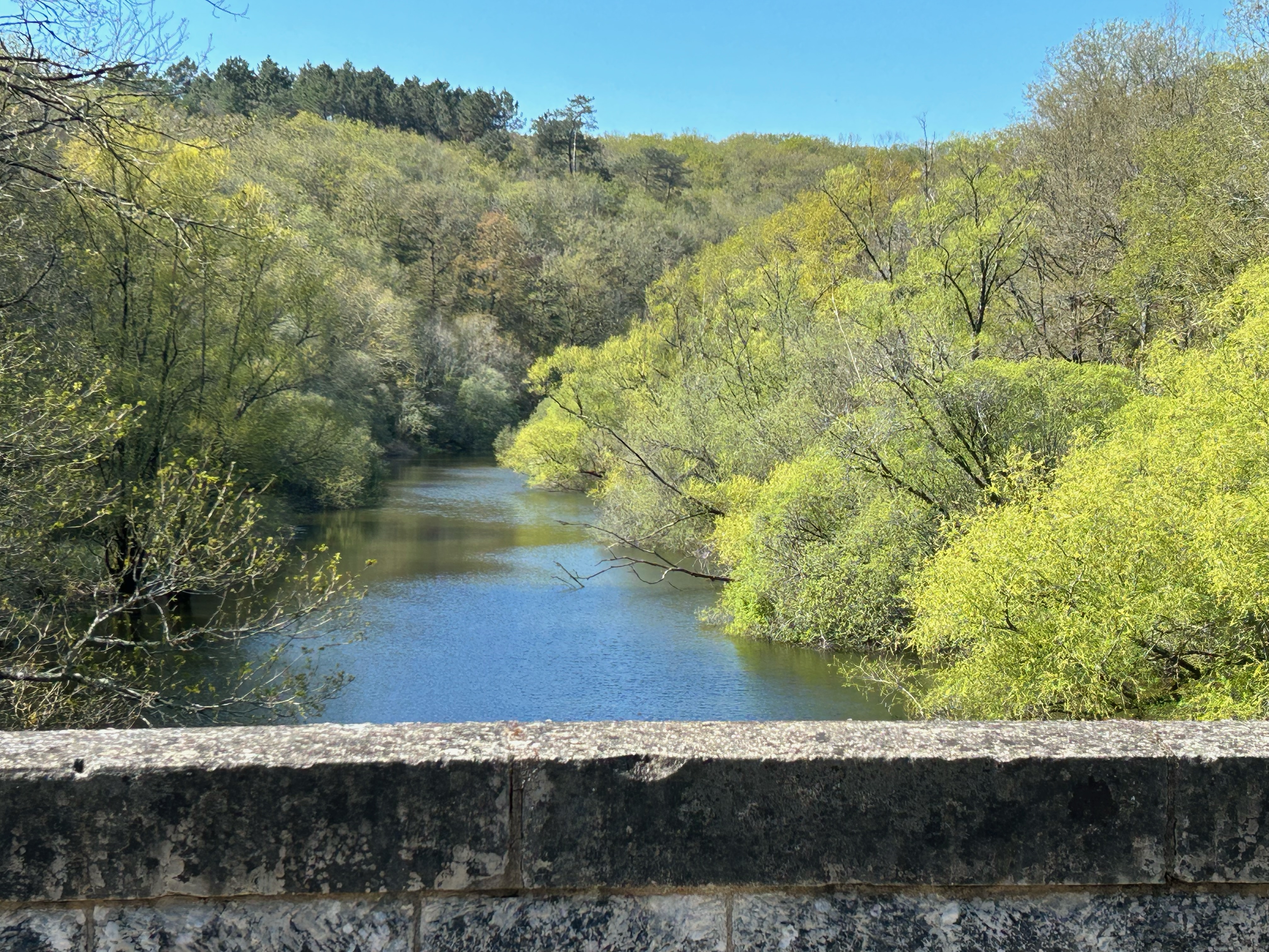 Boucle du lac de Mervent
