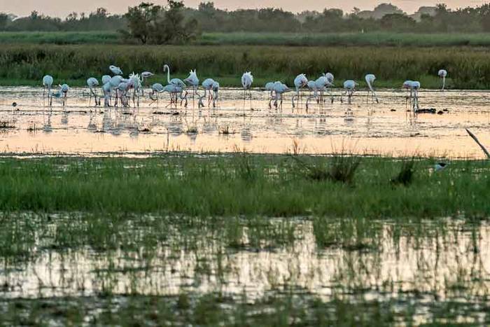 Les Salins en liberté en vélo électrique