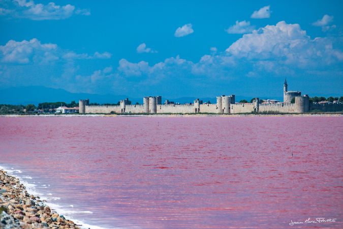 Les Salins en liberté en vélo électrique