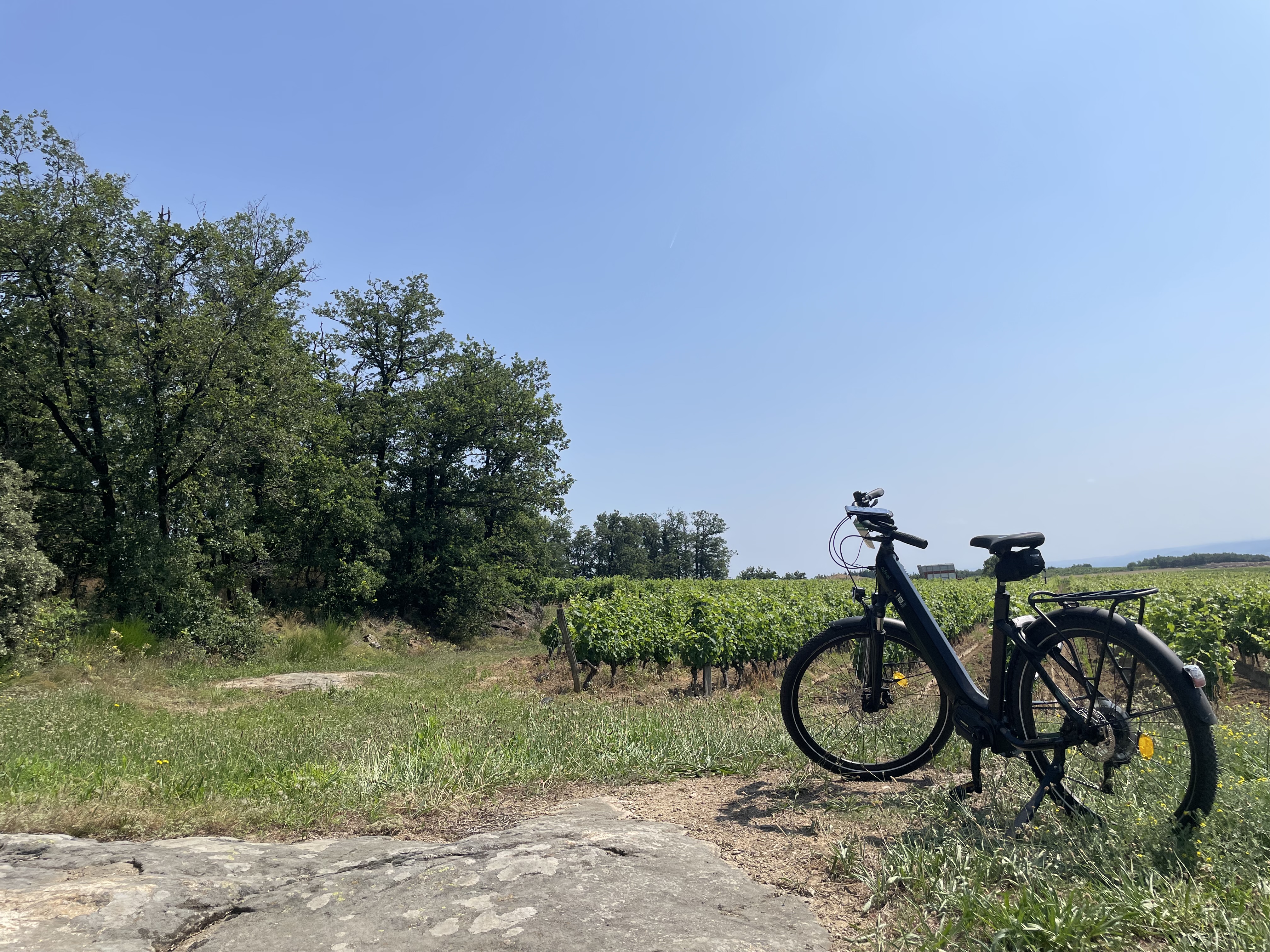 Balade en VTT, une demi-journée dans les vignes