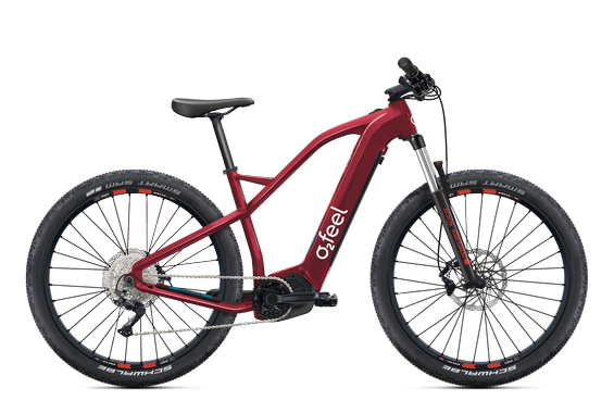 KARMA XC BOOST 4.1 MID.ROUGE-GRE.27,5T40 W